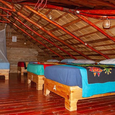 Hostel La Ballena Backpacker Las Galeras Εξωτερικό φωτογραφία