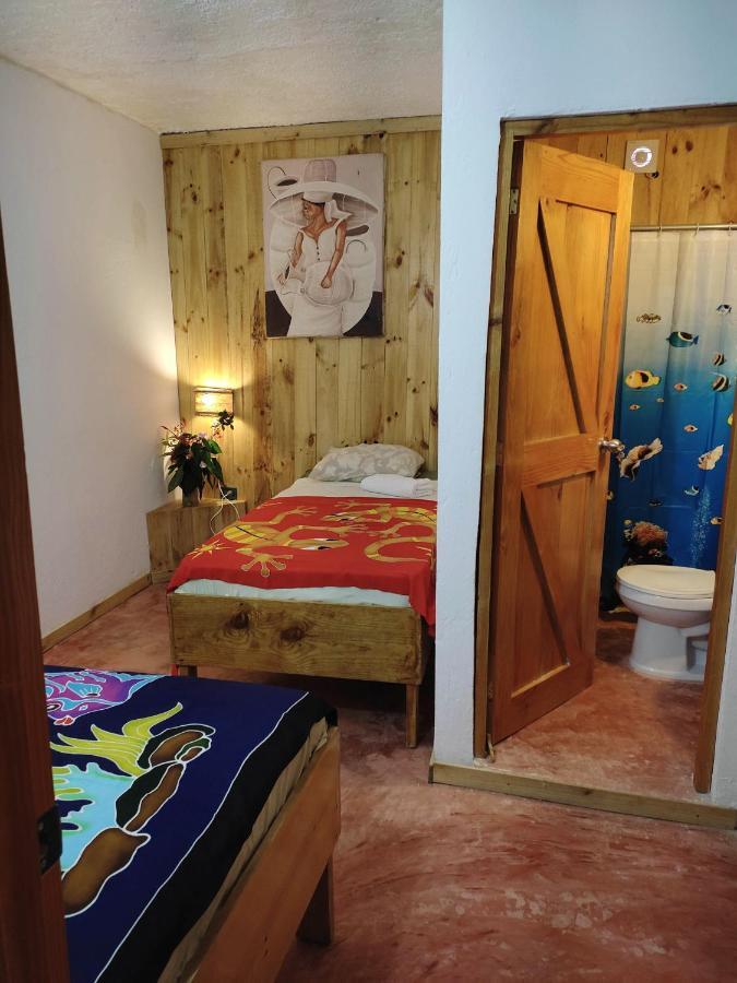 Hostel La Ballena Backpacker Las Galeras Εξωτερικό φωτογραφία