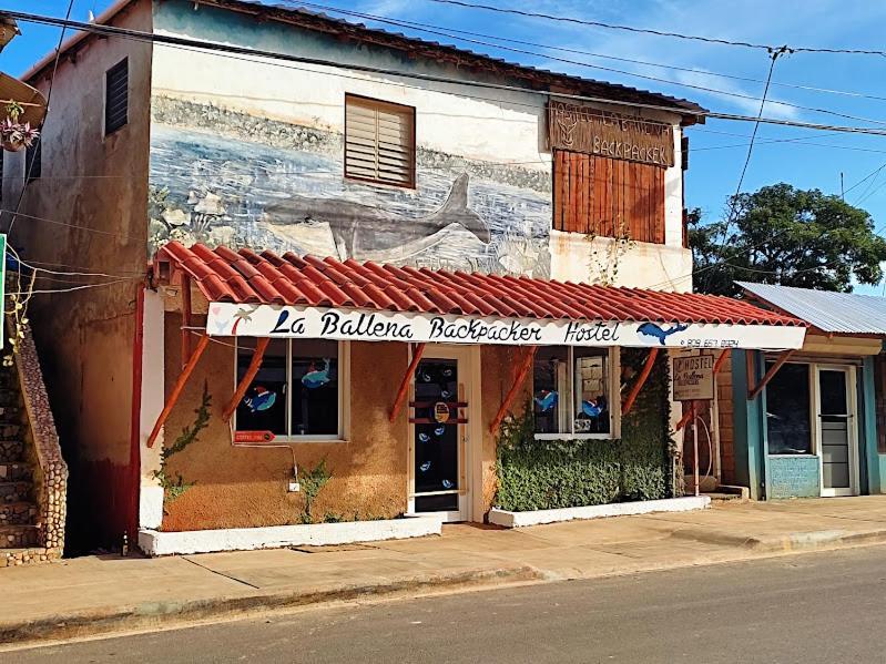 Hostel La Ballena Backpacker Las Galeras Εξωτερικό φωτογραφία