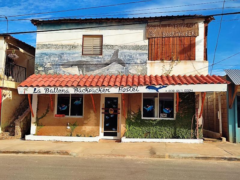 Hostel La Ballena Backpacker Las Galeras Εξωτερικό φωτογραφία