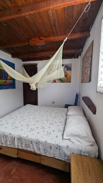 Hostel La Ballena Backpacker Las Galeras Εξωτερικό φωτογραφία