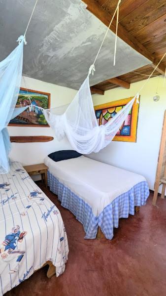 Hostel La Ballena Backpacker Las Galeras Εξωτερικό φωτογραφία