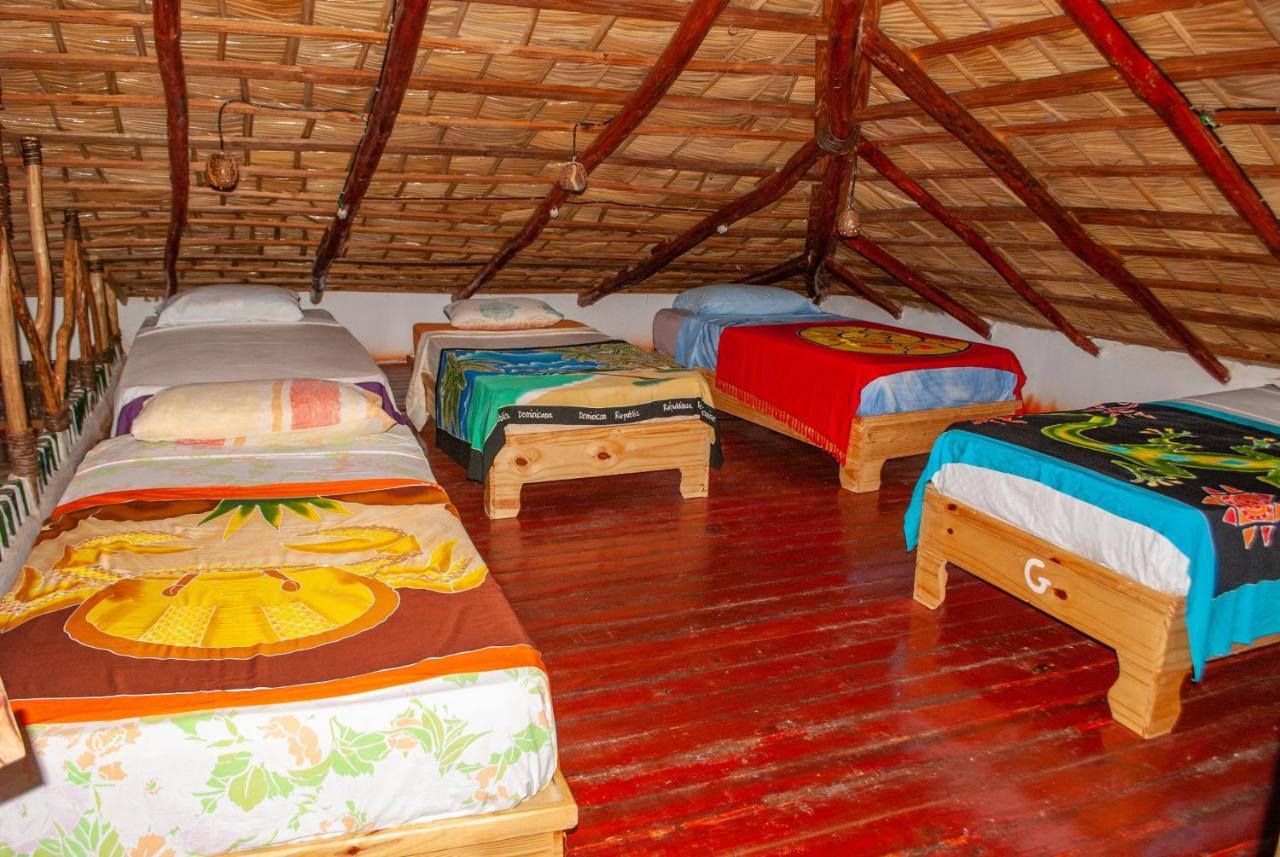 Hostel La Ballena Backpacker Las Galeras Εξωτερικό φωτογραφία