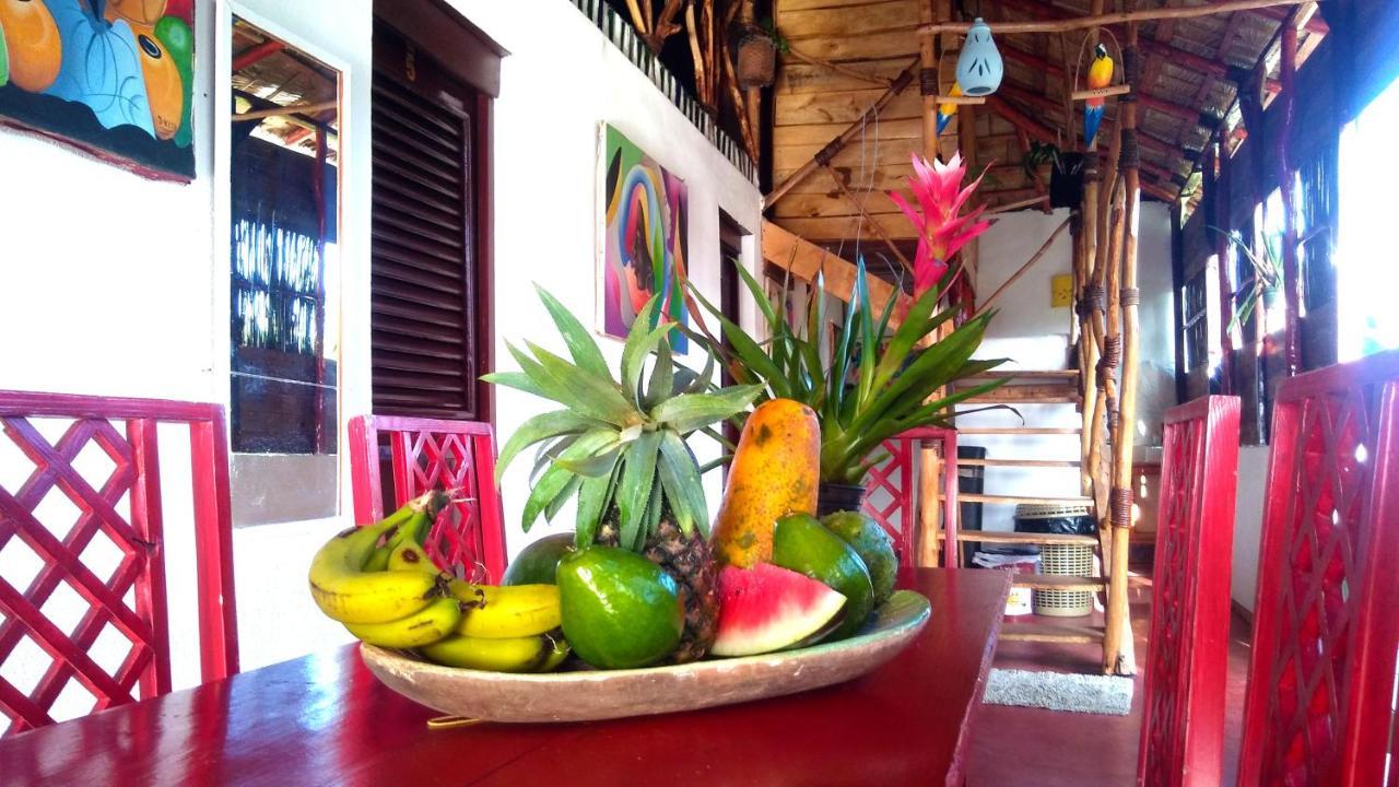 Hostel La Ballena Backpacker Las Galeras Εξωτερικό φωτογραφία